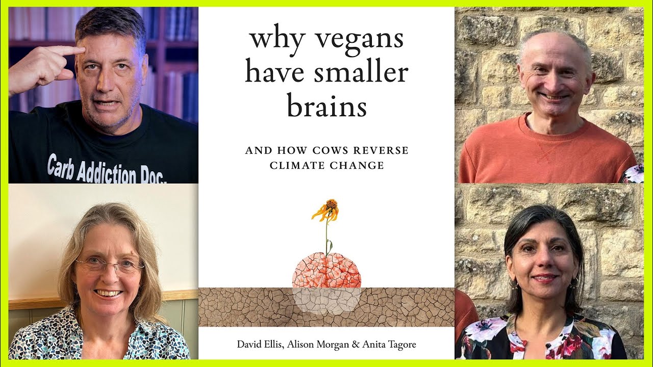 WHY VEGANS HAVE SMALL BRAINS - YouTube