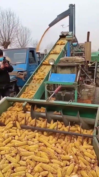 Buat Popcorn dulu kita? Mesin Pemipil Jagung Otomatis