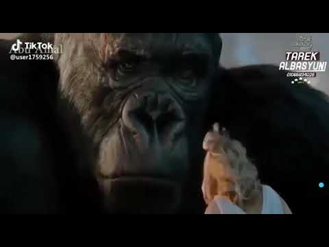 ياقلبي هنعمل ايه وبعدين