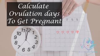 How to Calculate Ovulation Days to Get Pregnant | Pregnancy Tips | Discover Parenting