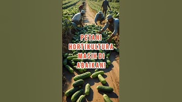 PETANI HOLTIKULTURA MASIH DIABAIKAN! #suarapetani #petanigarut #hargapetani #petaniindonesia