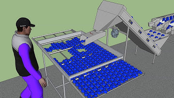 Plum preparation for drying  (animation)