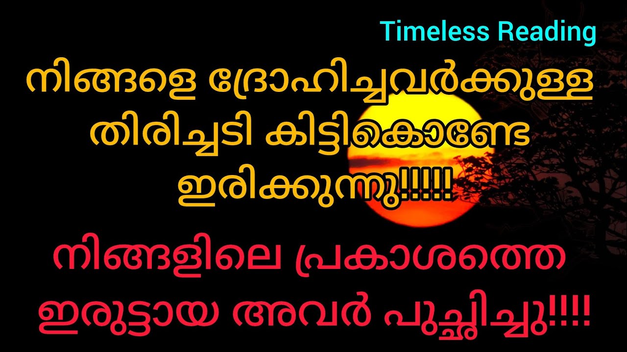 നിങ്ങളെ ദ്രോഹിച്ചവർക്കുള്ള തിരിച്ചടി കിട്ടികൊണ്ടേ ഇരിക്കുന്നു!! #tarot 