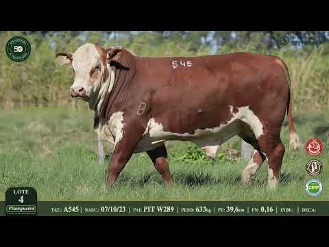 LOTE 4  A545