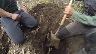 Jamarenje Jazavca 04