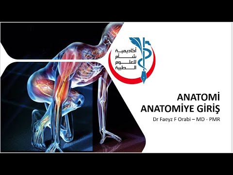 ANATOMY مدخل إلى  علم التشريح