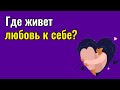 Где живет любовь к себе?