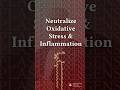 Neutralize Oxidative Stress & Inflammation #Shorts