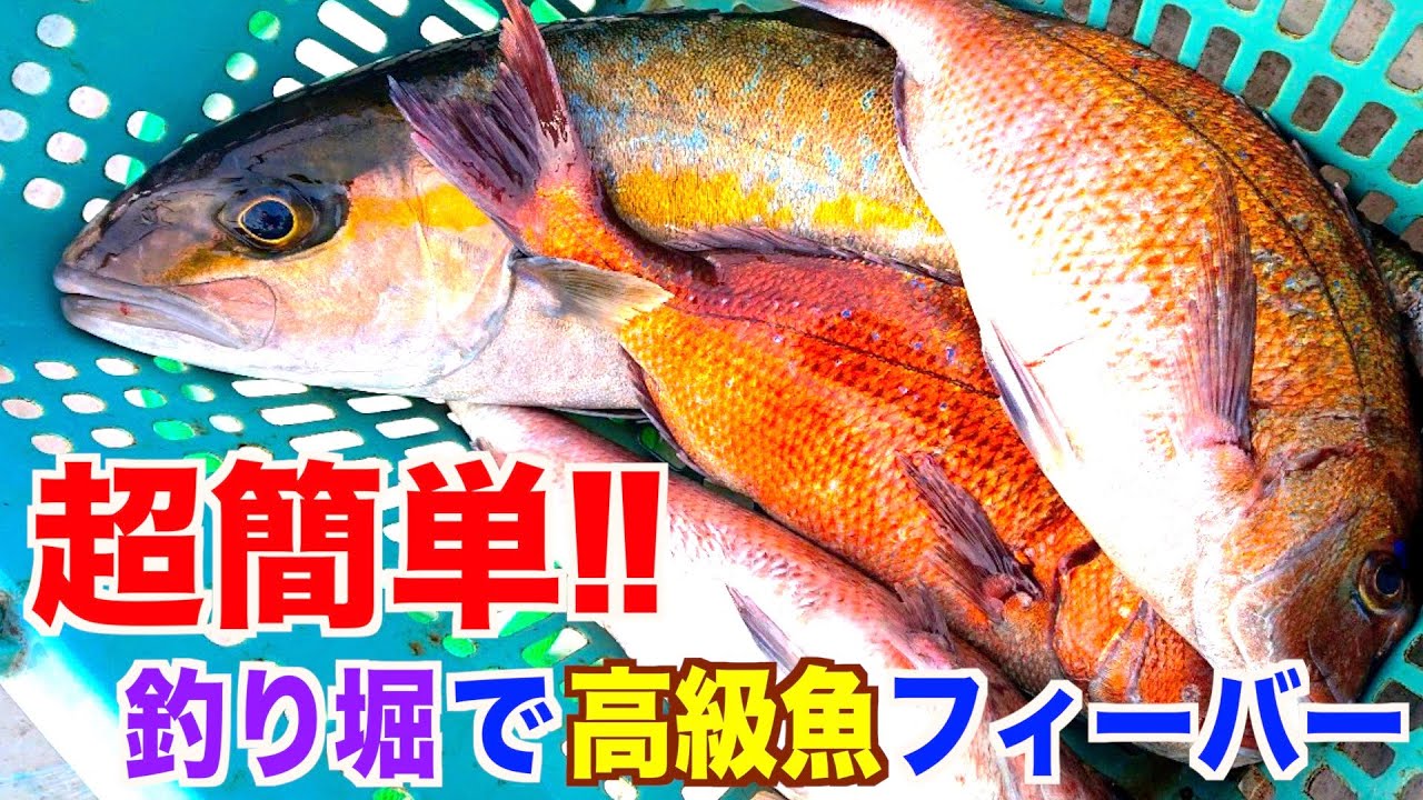 釣り 高級魚が爆釣 海上釣り堀 J Sフィッシング 行ってみた 城ヶ島 Youtube