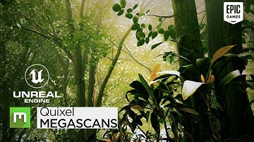 "Mastering Quixel Megascans: How to Use High-Quality Assets in Your Unreal Engine Scenes"