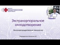 Как делают ЭКО? Этапы процедуры ЭКО.