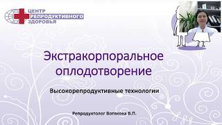 Как делают ЭКО? Этапы процедуры ЭКО.