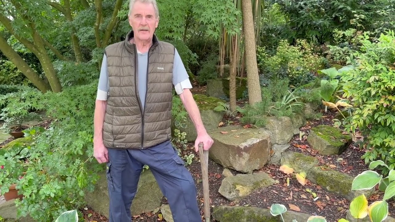 Planting Hostas in Autumn