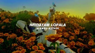 Hridayam Lopala - Slowed Reverb Anirudh
