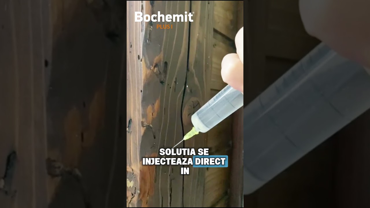 Lemn atacat de insecte - Bochemit Plus I, tratament lemn care te scapa definitiv de insecte.