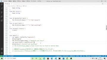 【golang】interface その➁
