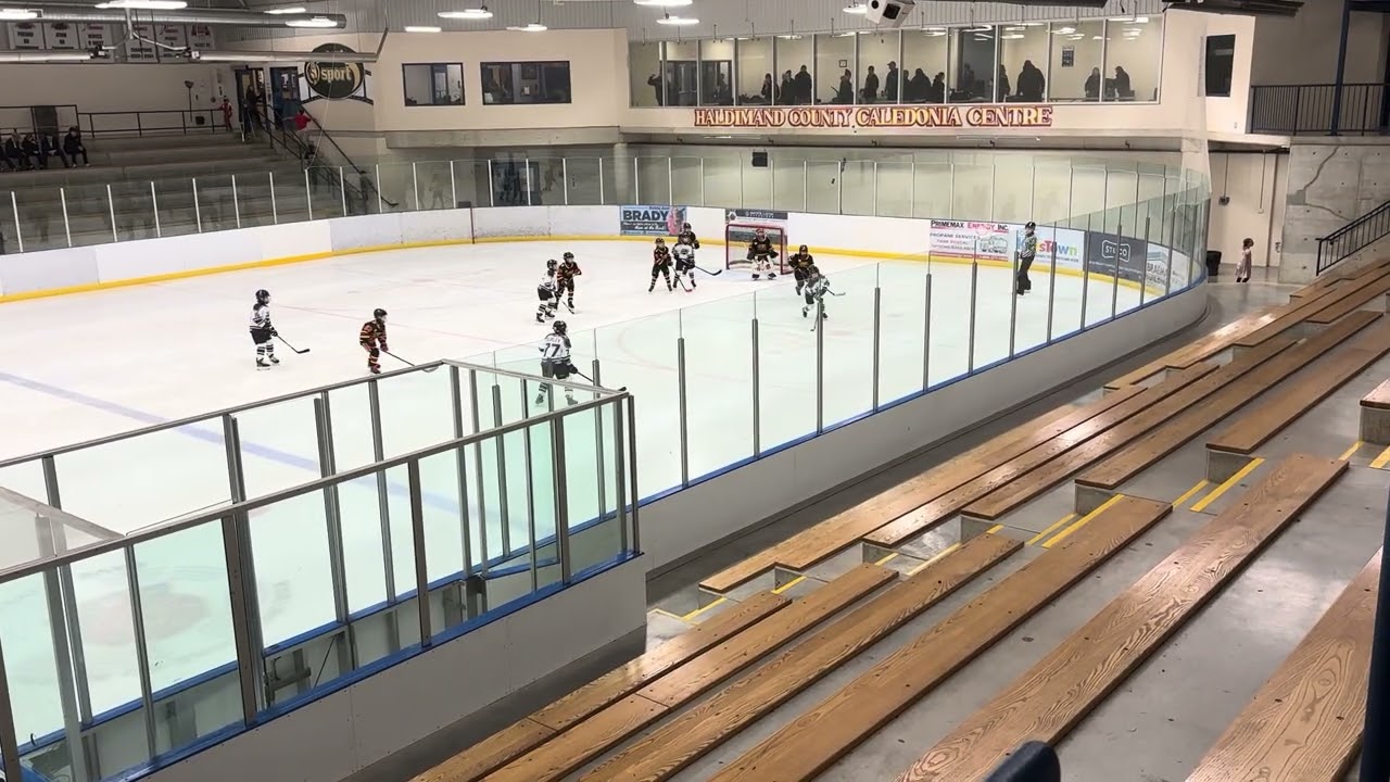 Uncut first period of the river Kings Guelph game