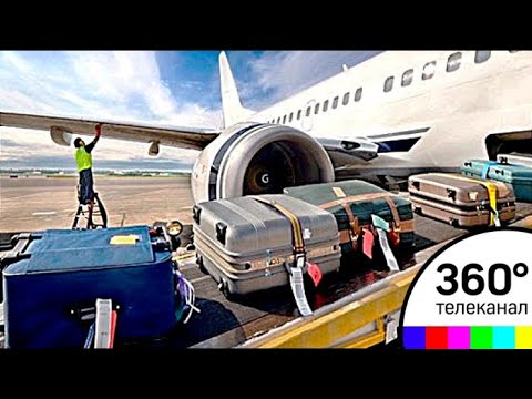 Видео: Цены на провоз багажа для внутренних и международных бюджетных авиакомпаний