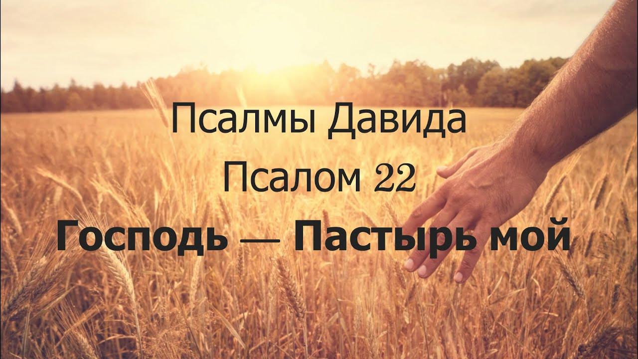 Псалом 22 современный. Господь пастырь мой псалом 22. господь пастырь мой псалом. господь пастырь мой я ни в чем не буду нуждаться. господь пастор мой псалтырь.