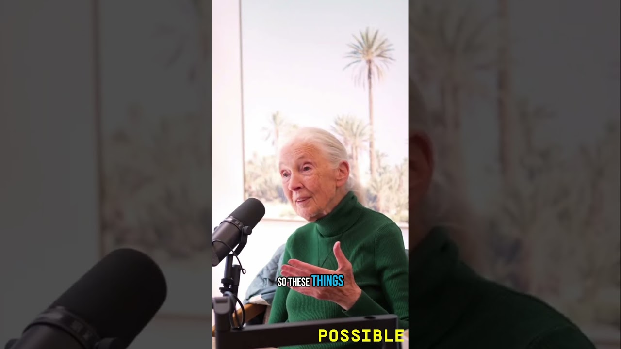 Drones & Tech Revolutionize CO2 Mapping: Jane Goodall Amazed!