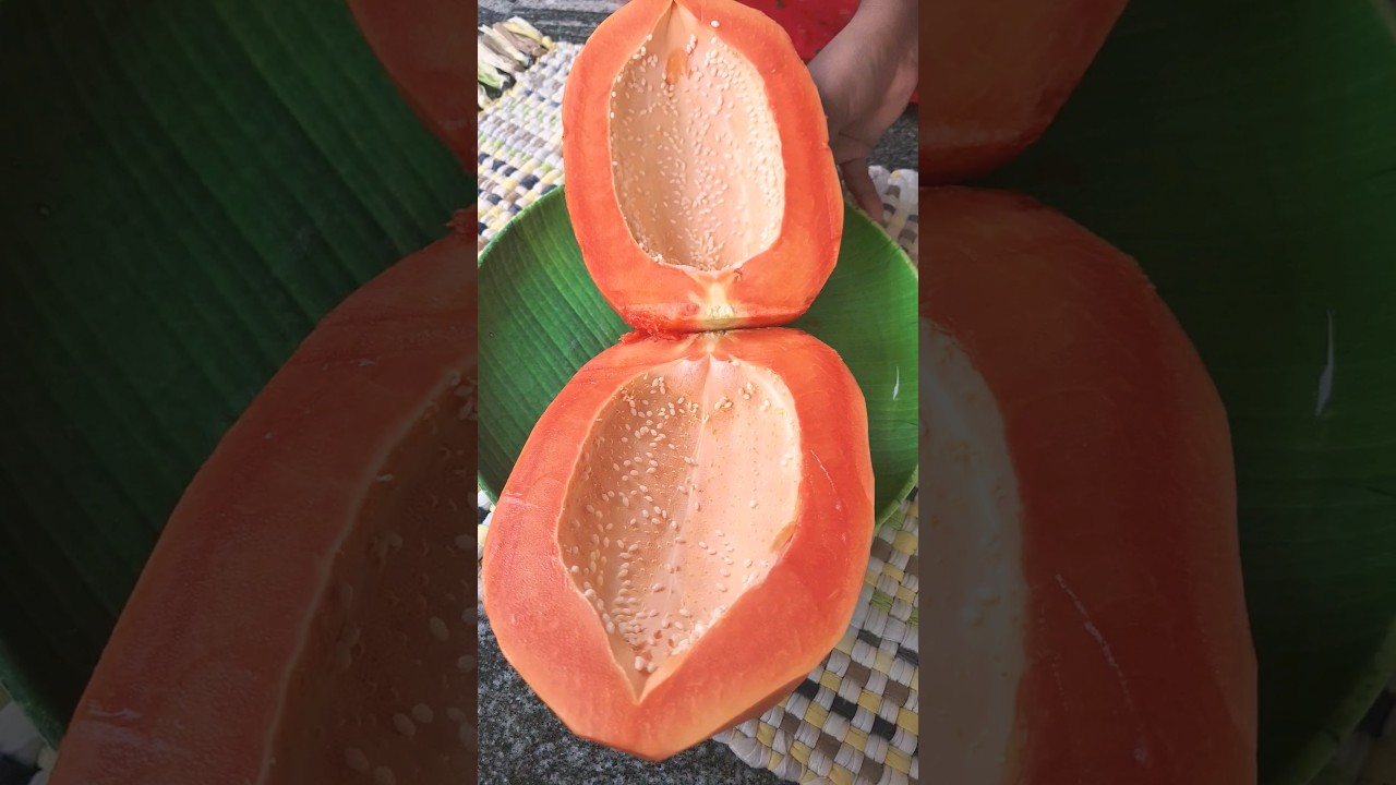 Tropical fruit papaya 