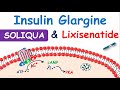 Soliqua 10033  insulin glargine and lixisenatide injection