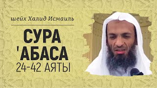 Сура «′Абаса», аяты 24-42 | Шейх Халид Исмаиль
