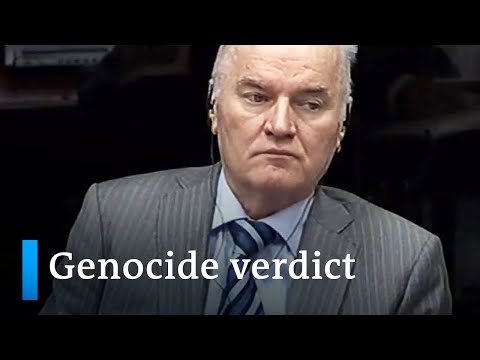 Appeal against genocide conviction: Mladic faces final verdict - DW News.