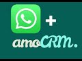 Кейс по автоматизации отправки сообщений WhatsApp + amoCRM.