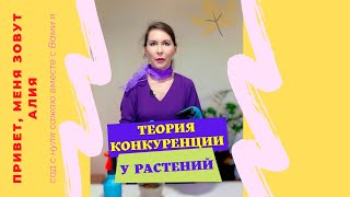 Теория конкуренции у растений при выращивание