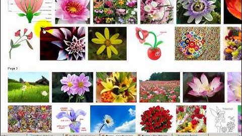 How to resize images in bloggers