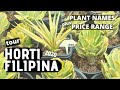 Horti Filipina Tour 2020 + Plant Names & Price Range | Plant Haul Philippines | EP 18