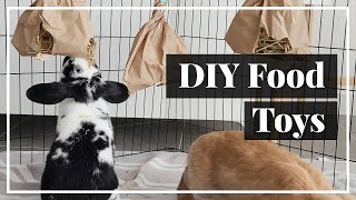 5 Easy DIY Food Toys for Rabbits