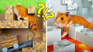 Mê Cung Chướng Ngại Vật Minecraft Cho Hamster