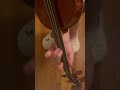 DONT's intonation challenge in no.17