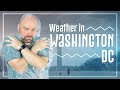 Weather in Washington DC 🇺🇸 -  DC Weather Month by Month ☀️⛈️ image