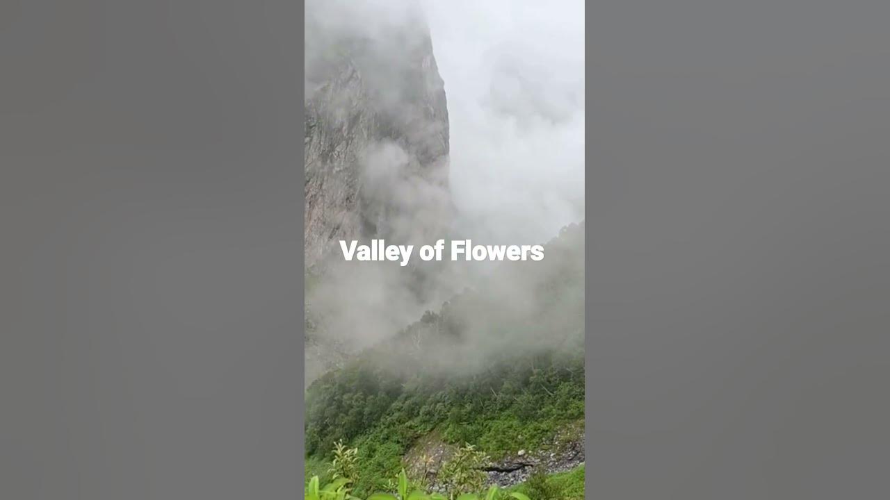 Valley of Flowers। Helicopter ride Ghangaria to Govind ghat youtube