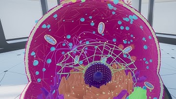 Cell Biology - Biolab