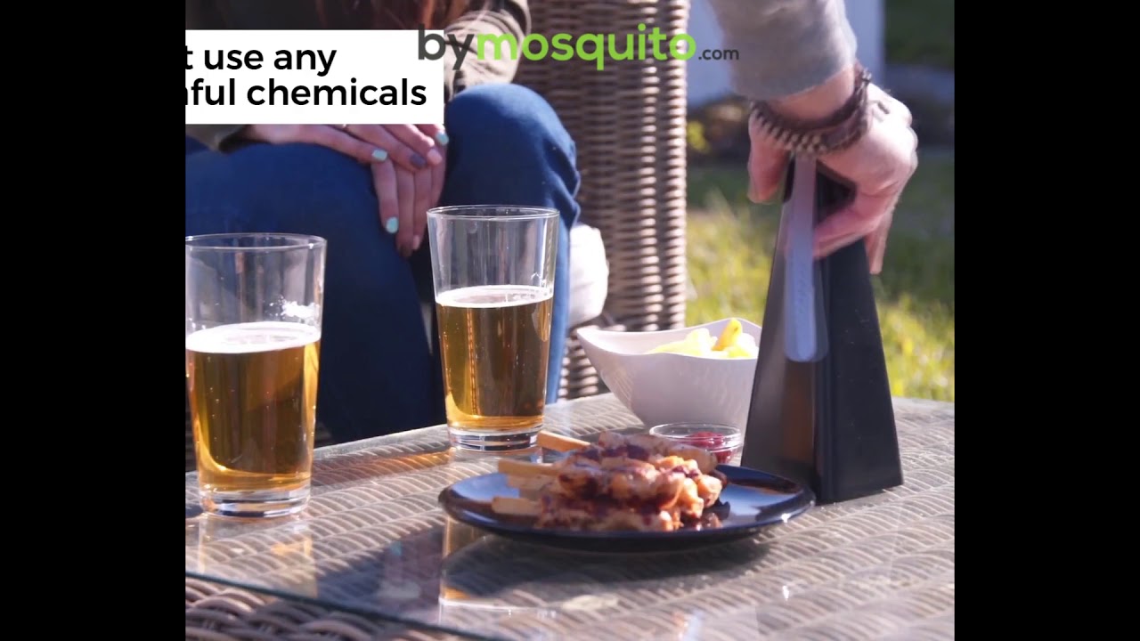 Flies and Mosquito Trapper: An Easy Way to Keep Flying Insects Away! - YouTube