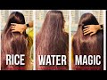 EVERY THING YOU NEED TO KNOW ABOUT RICE WATER | RICE WATER FOR HAIR GROWTH | AMAZING RESULTS 💕💕