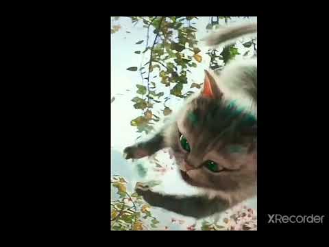 Пони Клип /А