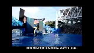 One Ocean All New Shamu Show  SeaWorld Orlando 2014