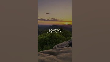 {مَا لَكُمْ لَا تَرْجُونَ لِلَّهِ وَقَارًا } تلاوة خاشعة د. ياسر الدوسري