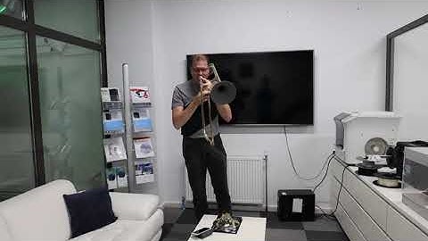 LOOP 3D - 3D printed trombone