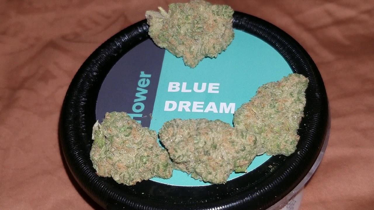 Blue dream kush
