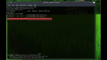 Linux Recover Deleted File With Testdisk