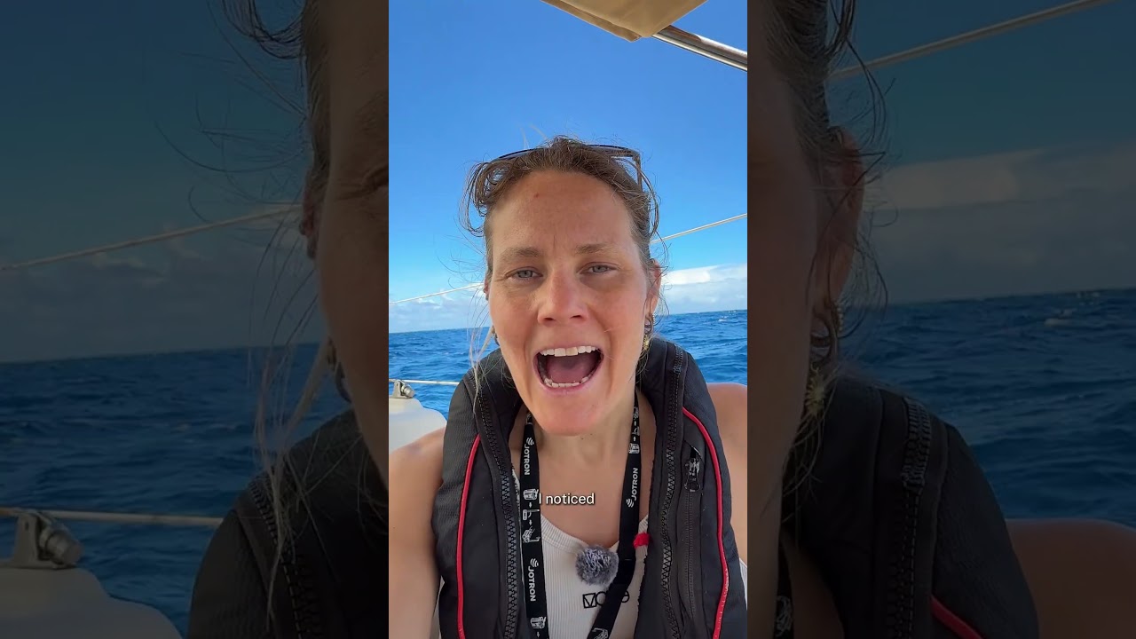 ⁣I can't believed this happened to me on my 30th day sailing solo across the Atlantic Ocean