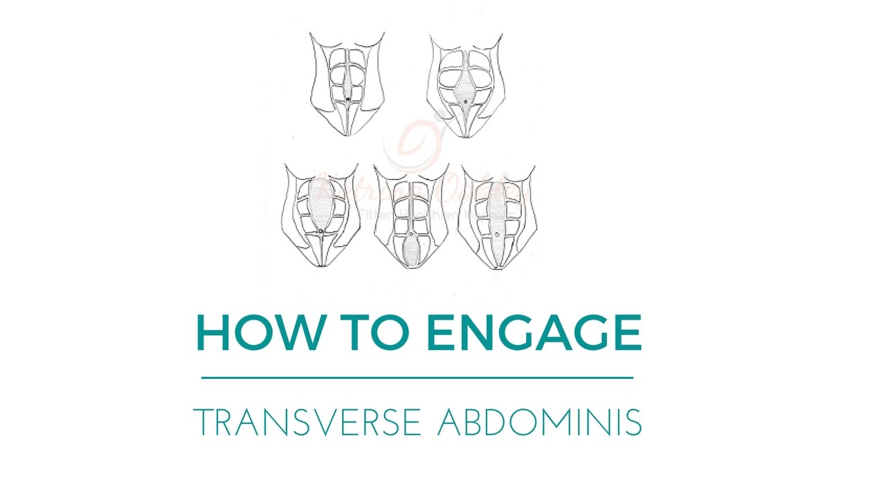 How To Engage Your Transverse Abdominis YouTube How to engage your transverse abdominis youtube