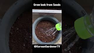 대파씨앗을 화분에 심으면..ㅣGrow leek from Seeds  #grow