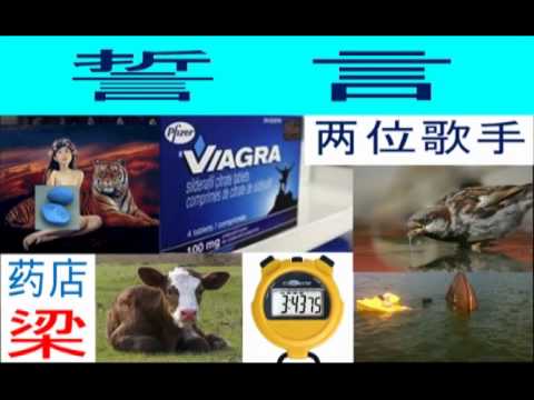 誓言 Shìyán ซื่อเหยียน